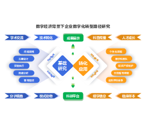 双模块路径结构企业数字化转型路径研究经济PPT