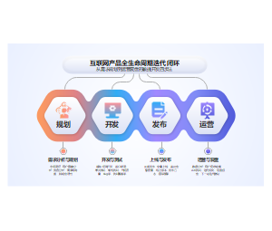 互联网产品生命周期流程图PPT