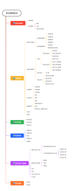 常见精神症状