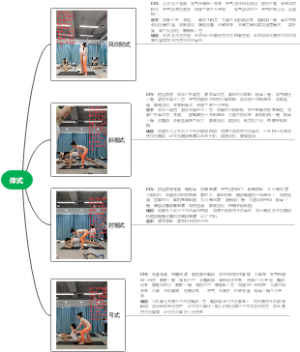 体式