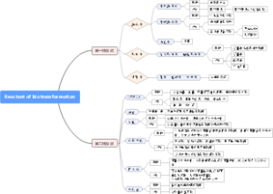 Reactant of biotransformation