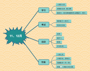 11、12月个人计划思维导图
