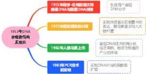 1953年DNA双螺旋结构发现后
