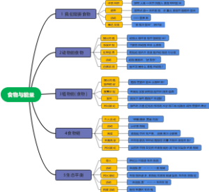 食物与能量