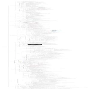 医学-体格检查诊断学查体