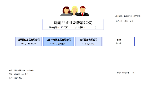 企业财务组织架构图