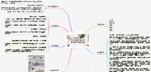 红楼梦第十七回