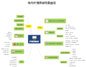院内护理质量检查路径