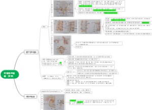 中轴骨的连结（关节）