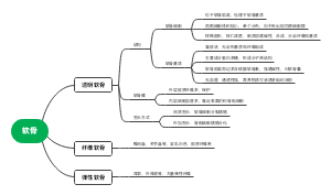 软骨
