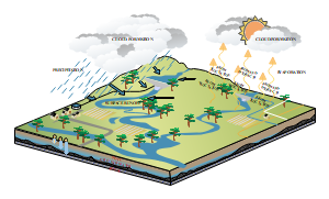 降雨降水蒸发模型图