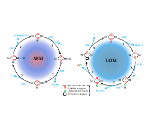 AEM与LOM化学反应过程流程图