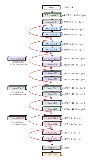 算法_ResNet18卷积神经网络层级特征变化示意图