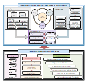 作物生产的水能碳排放WEC关系与量化WEC关系的相互作用示意图