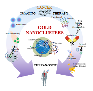 金纳米团簇靶向治疗神经疾病示意图
