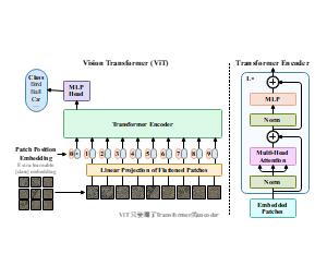 ViT (Vision Transformer )与Transformer encoder注意力机制结构示意图