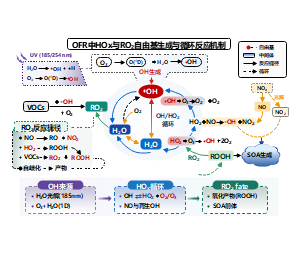 OFR中HOx与RO2自由基生成与循环反应机制