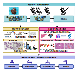 化合物1a-13临床应用全景研究小鼠实验-自然基金本子申请用图