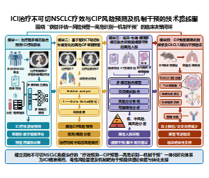 技术路线图-ICI治疗不可切NSCLC疗效与CIP风险预测及机制干预