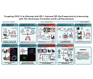 论文技术路线图