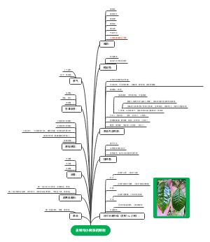 普洱茶古树与小树辨别的关键因素