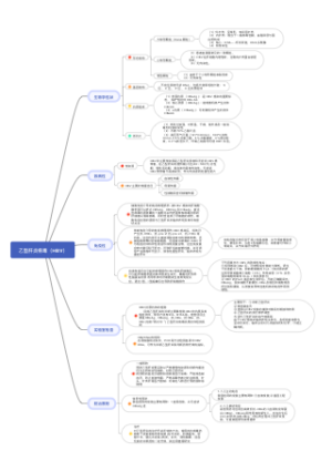乙型肝炎病毒（HBV）思维导图