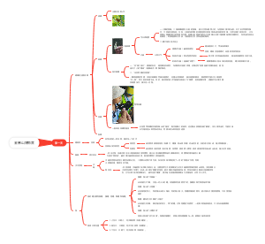 金佛山博物营笔记