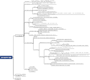 小红书医生IP运营