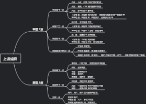 上皮组织