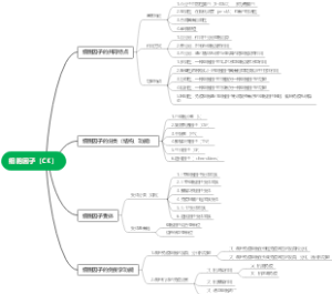 细胞因子（CK）