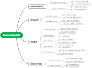 初中生物基础知识