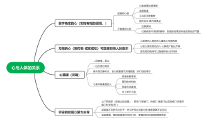 心与人体的关系