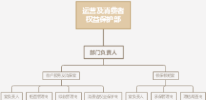 运营及消费者权益保护部