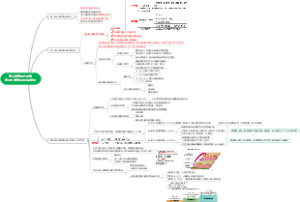 第三章 发展心理学第四节 童年期的心理发展