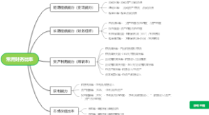 公司分析中常用财务比率