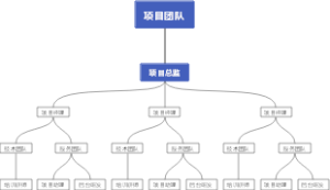 项目团队