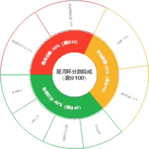 星河杯分数构成（满分100）