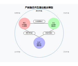 产教融合共生理论概念模型