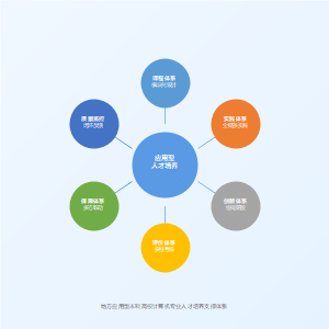 地方应用型本科高校计算机专业人才培养