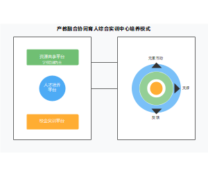 产教融合协同育人综合实训中心培养模式