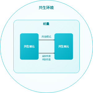 产教融合共同体的整体性治理框架