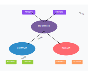 数字化转型背景下产教融合共生理论框架