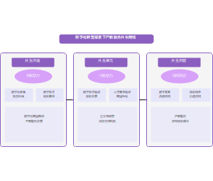 数字化转型背景下产教融合共生网络