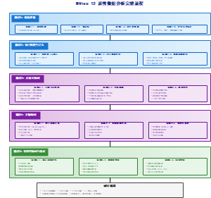 NVivo 12 质性数据分析完整流程
