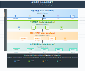 植物表型分析中的数据流