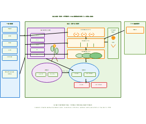 黄花功能-结构-过程模型的模块化架构