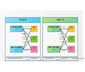不同区域农机装备数字化转型影响路径强度对比