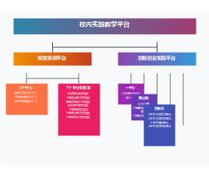 校内实践教学平台