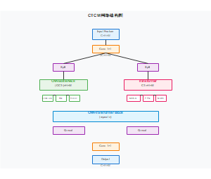 CTCM网络结构图