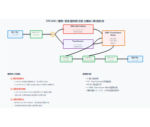 CTCAM (卷积-变换器协同注意力模块) 网络结构